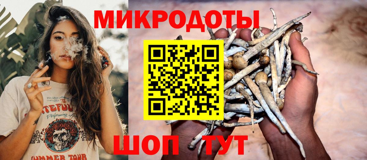 Псилоцибиновые грибы мицелий  Вход с VPN  Назрань  Галлюциногенные грибы прущие грибы 